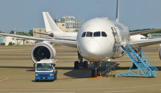 【飛行機撮影】JAL B787-9 JA861J｜グランドレベルで見る飛行機は顔つきが違う （2019/01/22）