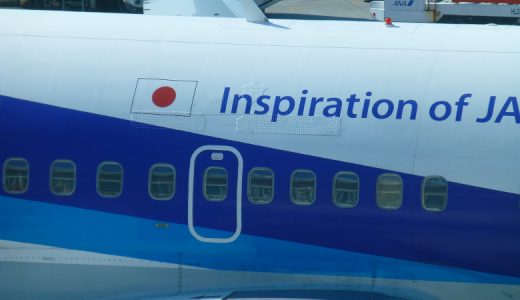 【飛行機撮影】ANA B737-500 JA305K｜丁寧に整備された機体は美しい（2019/02/08）