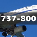 【今どこ】ANA 737-800 機材一覧・運航状況・スペック